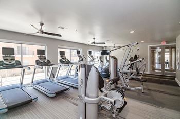 Cardio machines in gym